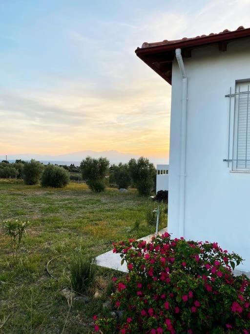 אפאנומי Summer House Spiti Pirgos מראה חיצוני תמונה
